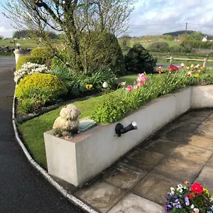 Bed & Breakfast June's Irlanda